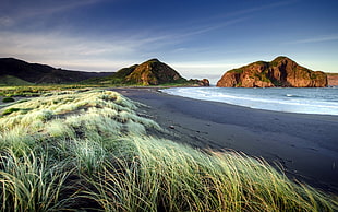 brown rock formation mountain beside green grass in front of sea shore during daytime