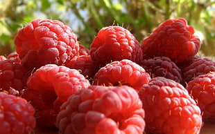 red fruit lot during daytime