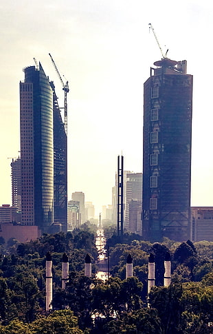 gray concrete high-rise buildings, Mexico, city HD wallpaper
