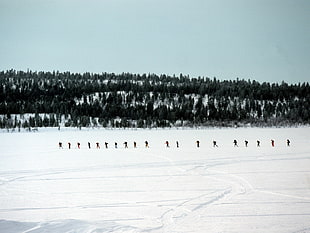 lined group of people in snowfield HD wallpaper