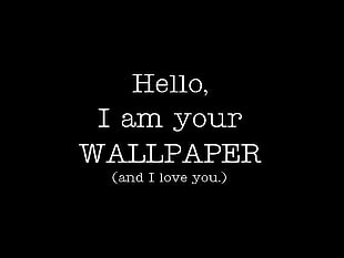 hello, i am your wallpaper ( and I love you.) text, text HD wallpaper