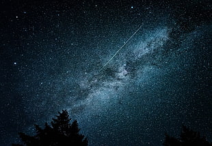 galaxy during nighttime digital wallpaper, stars, silhouette, pine trees
