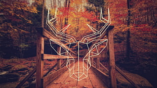 closeup photo of brown bridge surrounded by tress