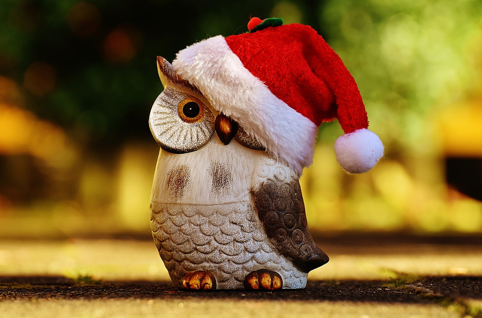 gray and black owl wearing Santa hat figurine HD wallpaper