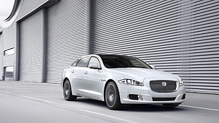 white Jaguar X-Type sedan, Jaguar XJ, Jaguar (car), car, vehicle HD wallpaper