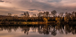 panoramic photography of lake, trees and gray sky