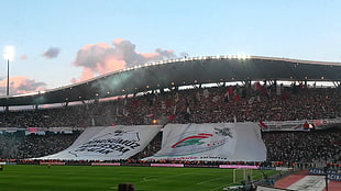soccer field stadium, Atatürk Olimpiyat Stadium, Besiktas J.K., soccer pitches, sports HD wallpaper