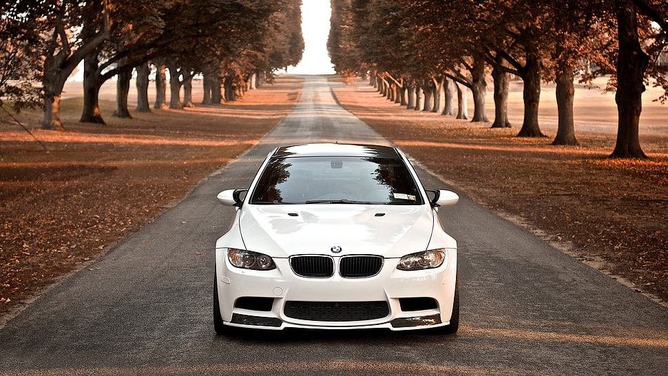 white BMW sedan travelling on gray cement road surrounded by trees HD wallpaper