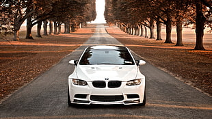 white BMW sedan travelling on gray cement road surrounded by trees HD wallpaper