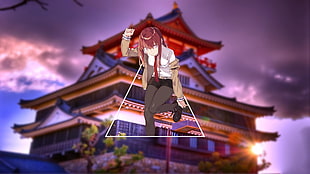 maroon-haired female anime character wallpaper, Steins;Gate, Makise Kurisu