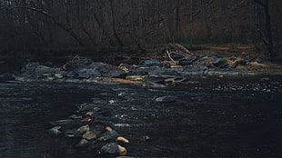 rocks in river, water, river, rocks, stream HD wallpaper