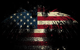 U.S.A. flag eagle vector art, American flag HD wallpaper
