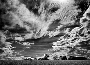 greyscale photo of grass field under cloudy sky during daytime