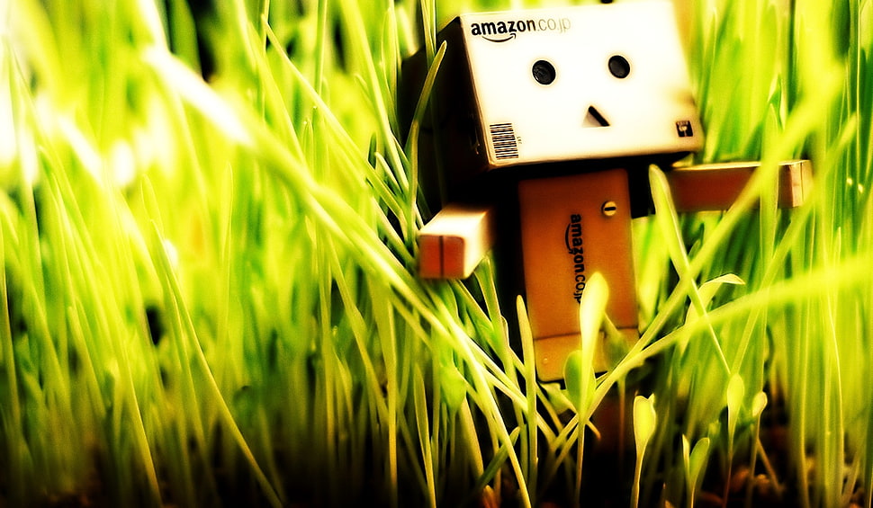 brown Amazon box robot illustration, Danbo HD wallpaper
