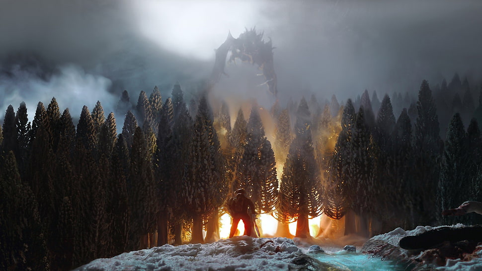 forest digital wallpaper, video games, The Elder Scrolls V: Skyrim, dragon, fire HD wallpaper