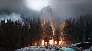 forest digital wallpaper, video games, The Elder Scrolls V: Skyrim, dragon, fire