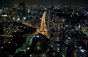 photo of city buildings during night time, Asia, Japan, Tokyo, cityscape HD wallpaper