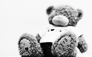black and white bear plush toy