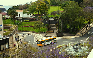 white and orange bus beside road fountain