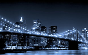 golden grate bridge, New York HD wallpaper