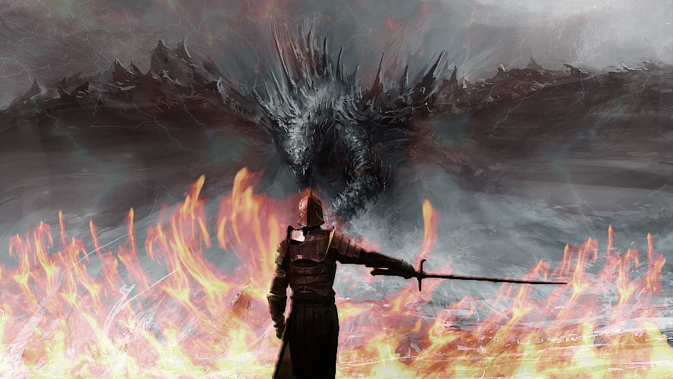 warrior fighting dragon digital wallpaper HD wallpaper