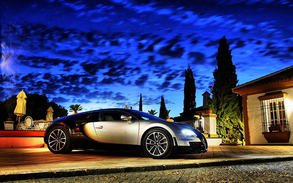 black and white 5-door hatchback, car, Bugatti Veyron HD wallpaper