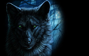 gray wolf wallpaper, wolf, fantasy art, animals, artwork