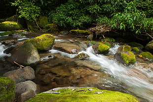 photo of flowing river HD wallpaper