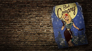 black Canary poster, Black Canary, DC Comics, pinup models