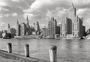 grayscale photo of city buildings, cityscape