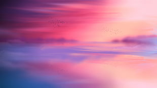 pink, blue, and red abstract painting