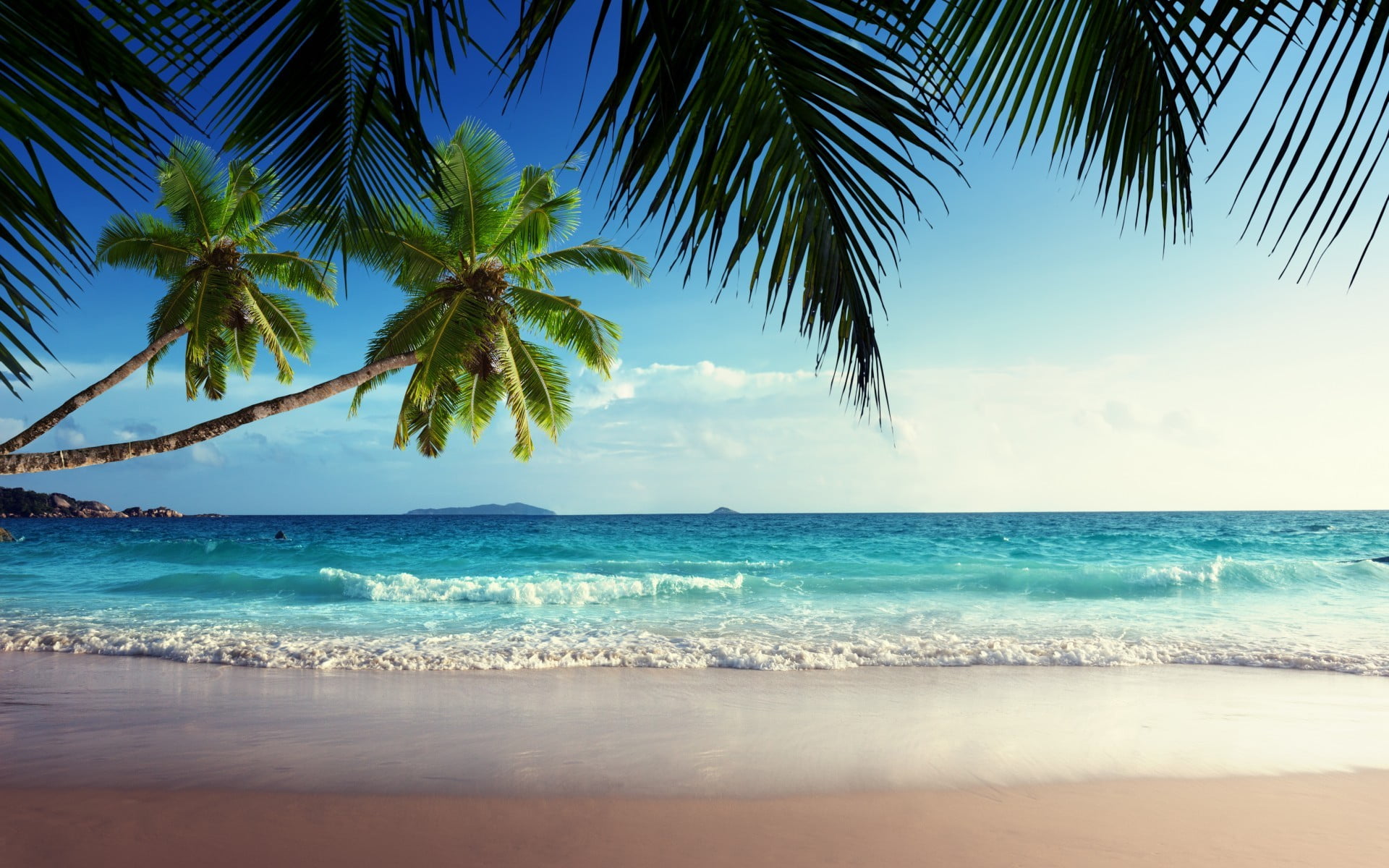 Online Crop Green Coconut Tress And Teal Sea Beach Sand Palm Trees