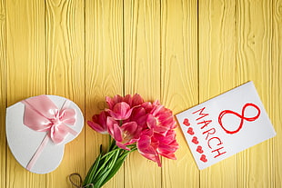 pink flowers, and card showing 8 March HD wallpaper