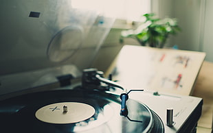 turntable next to a plant and window HD wallpaper