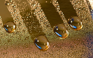 dew drop on glass board
