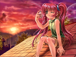 pink haired female anime character holding bottle sitting on the roof illustration