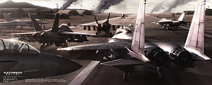 gray fighter jet poster, Ace Combat 6: Fires of Liberation, video games, aircraft, F-15 Strike Eagle