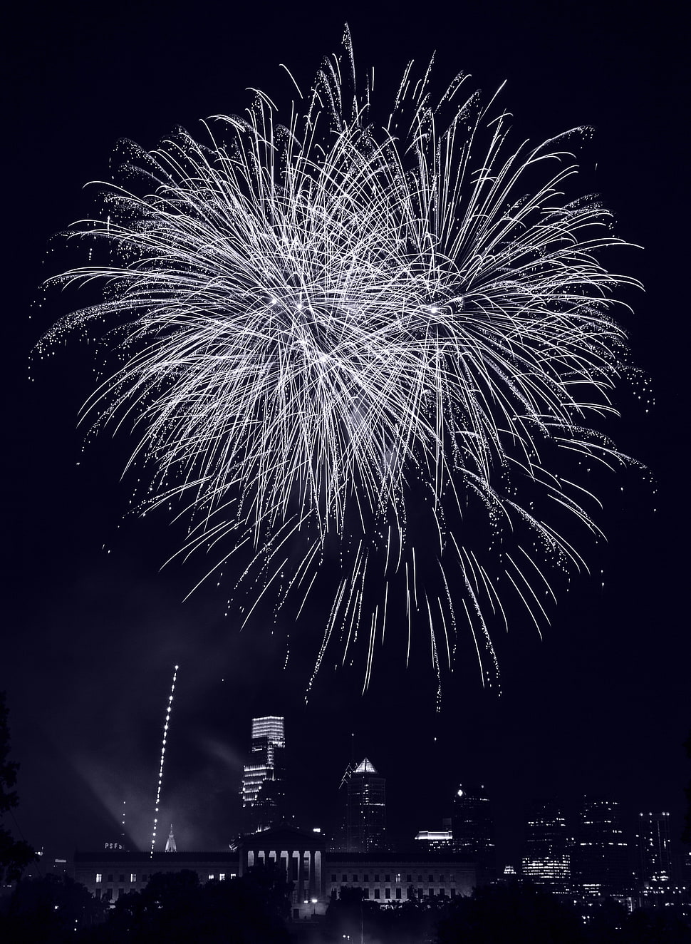 black and white feather painting, city, fireworks, portrait display HD wallpaper