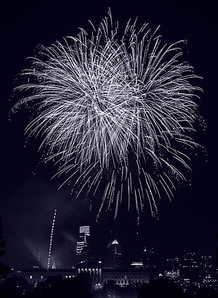 black and white feather painting, city, fireworks, portrait display