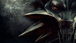 The Witcher digital wallpaper, The Witcher HD wallpaper