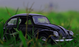 closeup photography of Volkswagen Beetle on green grass die-cast scale model