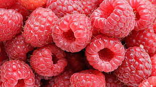 raspberry lot, food, raspberries