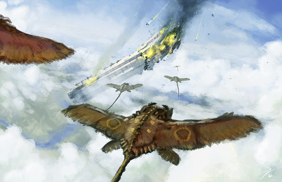 flying animal illustration, sky, birds, bats, moths HD wallpaper