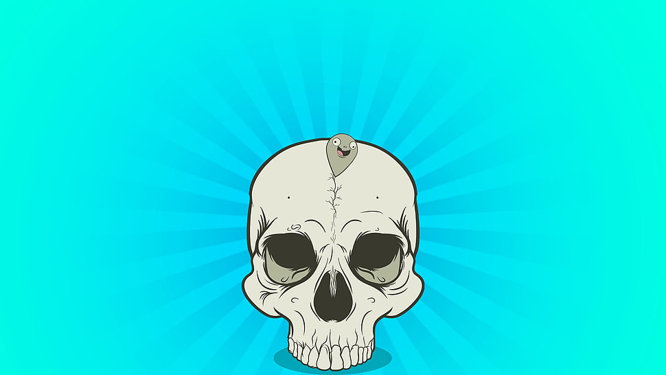skull decor HD wallpaper