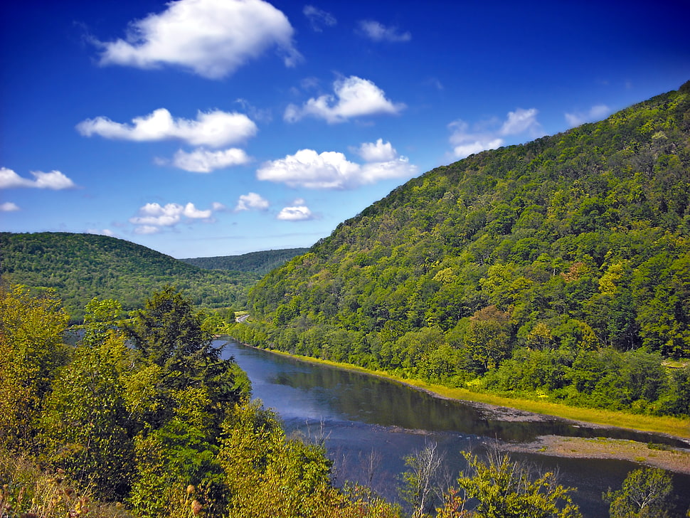river surrounded by trees and hills HD wallpaper