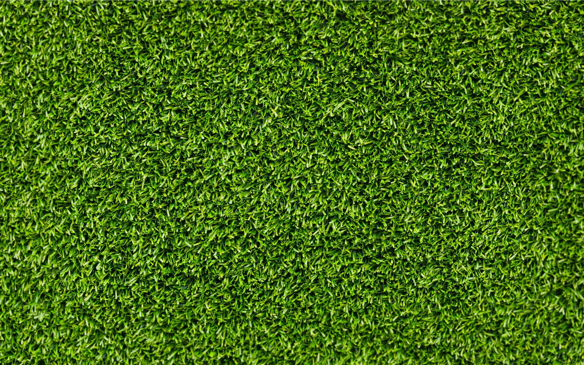 green grass, grass, texture