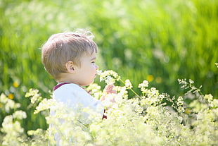 boy sniffing a white petaled flower during daytime
