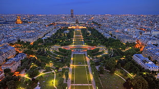aerial photo of green park during nighttime