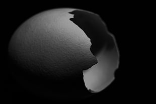 grayscale photography of cracked egg
