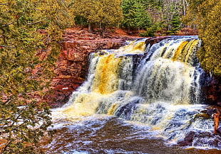 waterfalls near green trees